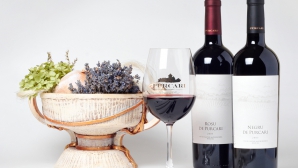 Marele Premiu în domeniul vitivinicol din acest an va fi acordat Vinăriei Purcari