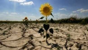 Seceta a adus mai multă roadă. Vezi în ce sector