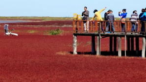 Plajă "însângerată" în China FOTO
