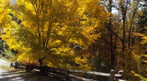 Vremea frumoasă revine. Meteorologii promit temperaturi de până la 15 grade Celsius