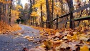 Ploi de scurtă durată şi vânt, anunţă meteorologii