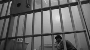 Administraţia DIP nu cunoaşte pentru ce sunt cercetaţi penal 14 angajaţi ai săi. Ce spune MAI