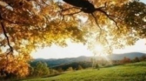 Toamna ne răsfaţă cu maxime termice generoase. Meteorologii promit 18 grade în Capitală