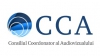 Comisia parlamentară a selectat candidaţii pentru funcţiile vacante de la CCA