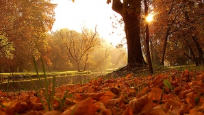Weekend-ul vine cu soare, stropi de ploaie şi cer variabil