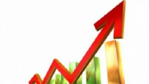 Exporturile moldoveneşti în Noua Zeelandă s-au majorat