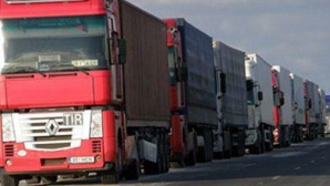 Vicedirectorul Agenţiei Fitosanitare a fost suspendat din funcţie. Află motivul