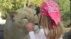 Moment şocant trăit de o fetiţă care a vrut să se fotografieze cu leii de la o menajerie VIDEO