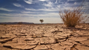 Planeta fierbe. 2012 - cel mai călduros an din istorie