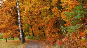 Soare strălucitor, dar mai puţin generos pentru mâine