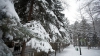 11 localităţi au rămas fără curent electric din cauza ninsorilor 