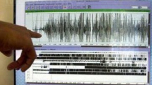 Un cutremur cu magnitudinea de 4,6 grade pe Richter s-a produs în Vrancea 