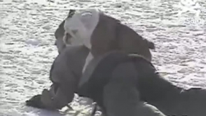 Cum se dă un câine cu săniuţa VIDEO