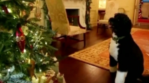 Pomii de Crăciun, instalaţi la Casa Albă, inspectaţi de câinele familiei Obama