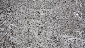 Noaptea va fi destul de rece. VEZI câte grade prognozează meteorologii