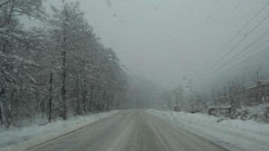 Ce vreme ne aduc următoarele şapte zile 