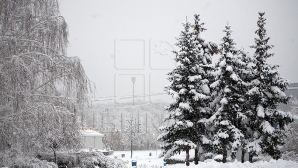 Ninsori slabe, vânt puternic şi polei, anunţă meteorologii pentru mâine