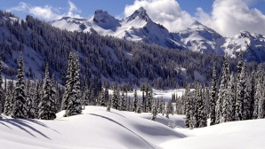 Iarna face ravagii în lume: Zeci de persoane au decedat din cauza frigului 