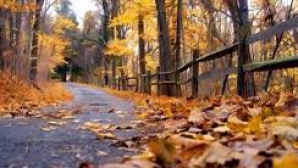 Vremea se răceşte uşor şi vor cădea precipitaţii slabe în următoarele zile