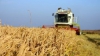 Agricultura a înregistrat un declin profund în 2012