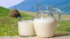 Moldova, ţară de minune: Laptele pe care îl bem este natural, praf sau cu grăsimi vegetale? 