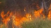 Focare noi de incendii de pădure în Australia: Cel puţin 100 de oameni sunt daţi dispăruţi