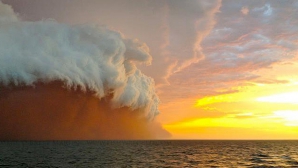"Tsunami" de nisip: O furtună enormă de praf a acoperit un oraş din Australia GALERIE FOTO/VIDEO