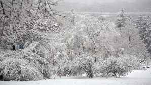 Meteorologii anunţă ninsori şi în a doua zi de weekend