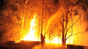 Incendiile de vegetaţie au făcut prăpad în mai multe zone din Australia
