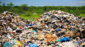 Jumătate din mâncarea de pe Glob este aruncată la gunoi 