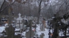 Cimitirele vechi, în paragină: În unele se joacă fotbal, în altele pasc vacile VIDEO