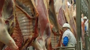 Scandalul din industria cărnii zguduie şi România. Ţara vecină ar putea avea restricţii la exportul în UE