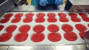 Rezultatele anchetei: Firma Spanghero a etichetat greşit carnea de cal 