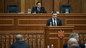 Viorel Chetraru, audiat în Parlament: CNA nu are nicio legătură cu războiul politic 