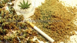 (VIDEO) Droguri în valoare de 20.000 de lei, depistate în casa unui bărbat din Făleşti