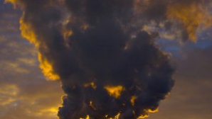 Japonia, afectată de POLUAREA atmosferică din China