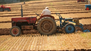 Introducerea impozitului unic în agricultură, în vizorul Comisiei parlamentare economie, buget şi finanţe