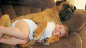 Salvată de propriul câine. O fetiţă de trei ani a rămas în viaţă după o noapte petrecută pe străzi 