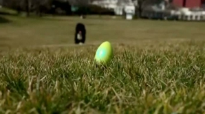 Câinele familiei Obama caută ouăle de Paşte VIDEO