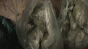 Comerţ cu marijuana pe o stradă din raionul Hînceşti