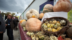 Subvenţii mici, cheltuieli mai mari. Fermierii din ţară vor majorarea ajutoarelor de la stat