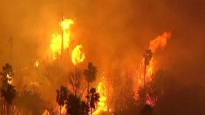 California, cuprinsă de incendii. Zeci de oameni au fost evacuaţi