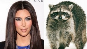 Topul celebrităţilor care seamănă cu animale GALERIE FOTO  