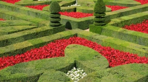 Top cele mai splendide labirinturi verzi din lume FOTO