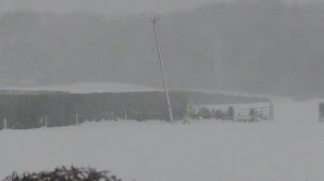 Intemperiile provoacă haos: Zeci de mii de case fără curent, şcoli închise şi drumuri blocate în Ucraina şi Marea Britanie