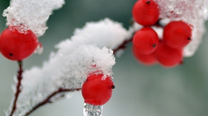 În Capitală ar putea să ningă, la sfârşitul acestei săptămâni