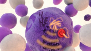 Tratament MINUNE pentru o boală extrem de gravă. Leucemia ar putea fi vindecată în 8 zile