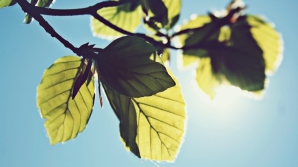 Vremea se încălzeşte semnificativ în următoarele zile