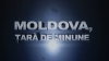 Investigaţiile "Moldova, ţară de minune" despre adevăruri dureroase, oameni puternici şi afaceri ilegale (VIDEO)