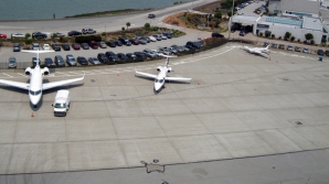 Terapie cu câini la aeroport. Află în ce ţară se desfăşoară un astfel de progarm şi care este misiunea patrupezilor